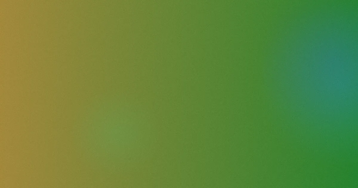 横飞姬测评避坑四步走
